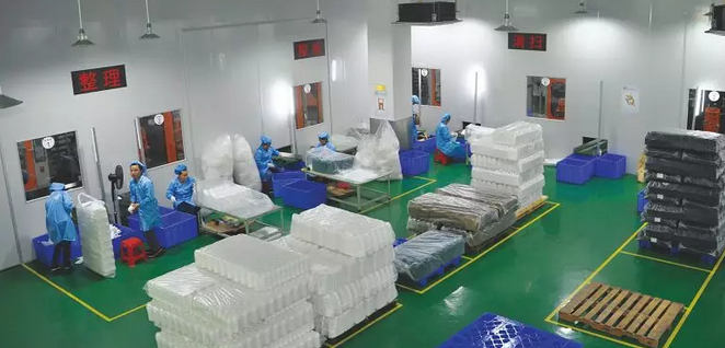 ����ƿ���a܇�g